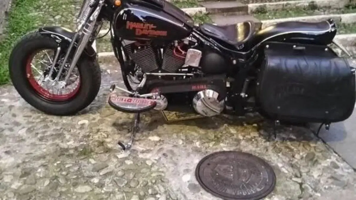 Harley-Davidson 1340 Springer (1990 - 98) - FXSTS  (3)