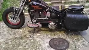 Harley-Davidson 1340 Springer (1990 - 98) - FXSTS  (3)