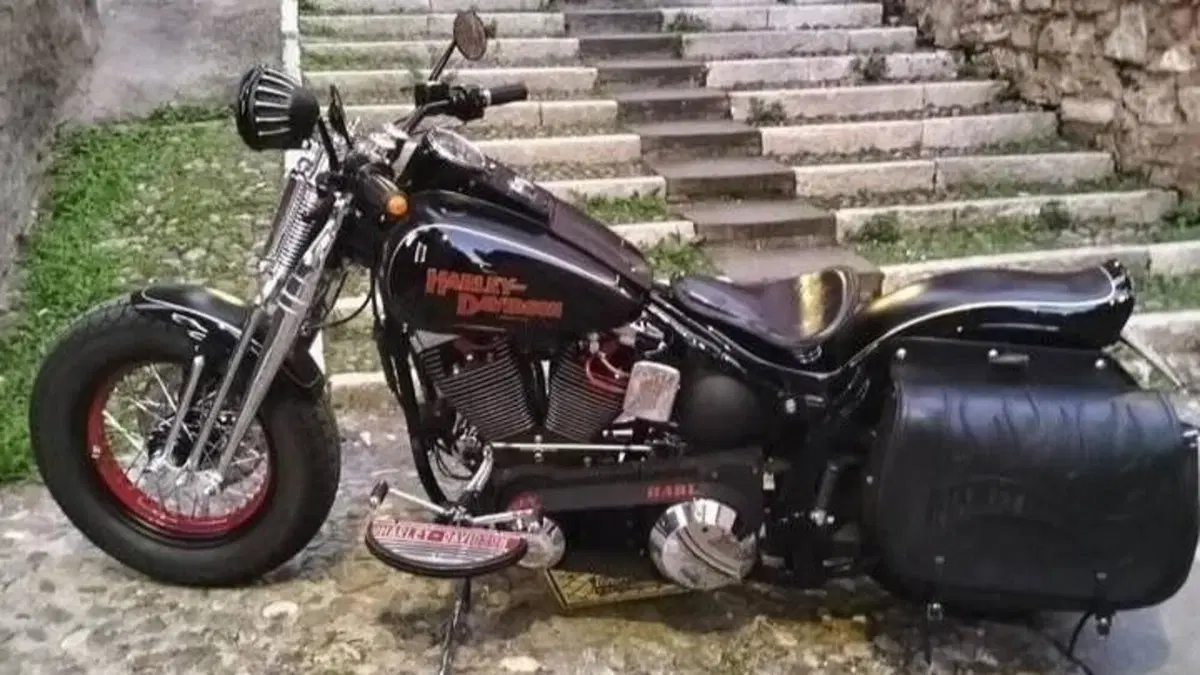 Harley-Davidson 1340 Springer (1990 - 98) - FXSTS  (4)