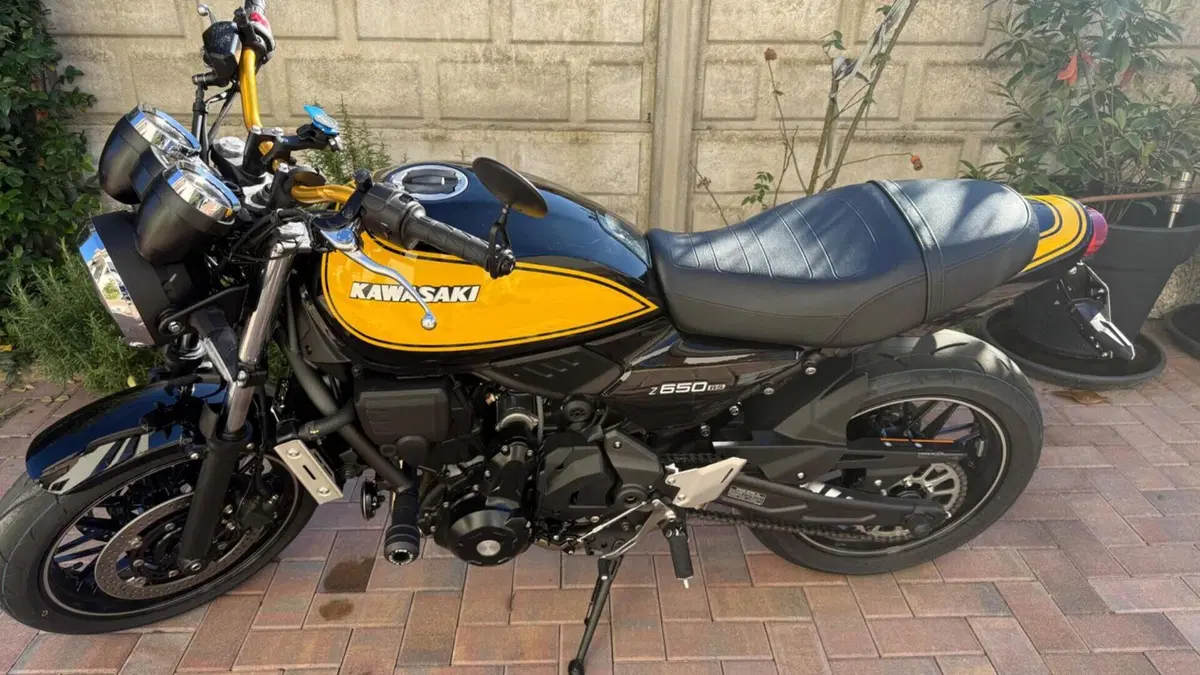 Kawasaki Z 650 RS (2025 - 27)  (8)