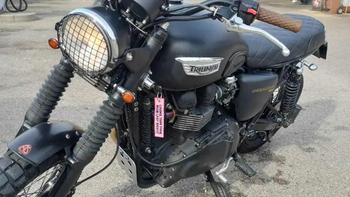 Triumph Scrambler (2006 - 17)  (6)