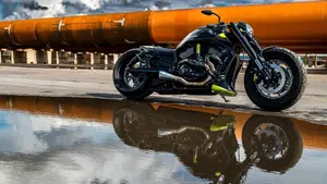 Harley-Davidson 1250 V-Rod Muscle (2009 - 17) - VRSCF 