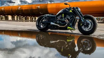 Harley-Davidson 1250 V-Rod Muscle (2009 - 17) - VRSCF usata