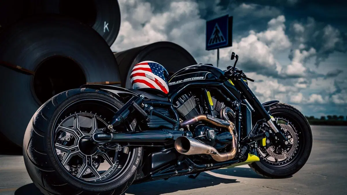 Harley-Davidson 1250 V-Rod Muscle (2009 - 17) - VRSCF  (3)