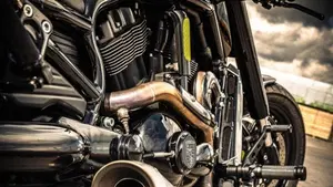 Harley-Davidson 1250 V-Rod Muscle (2009 - 17) - VRSCF  (5)