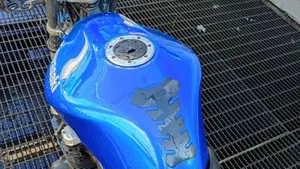 Kawasaki ZR-7 (2001 - 04)  (6)