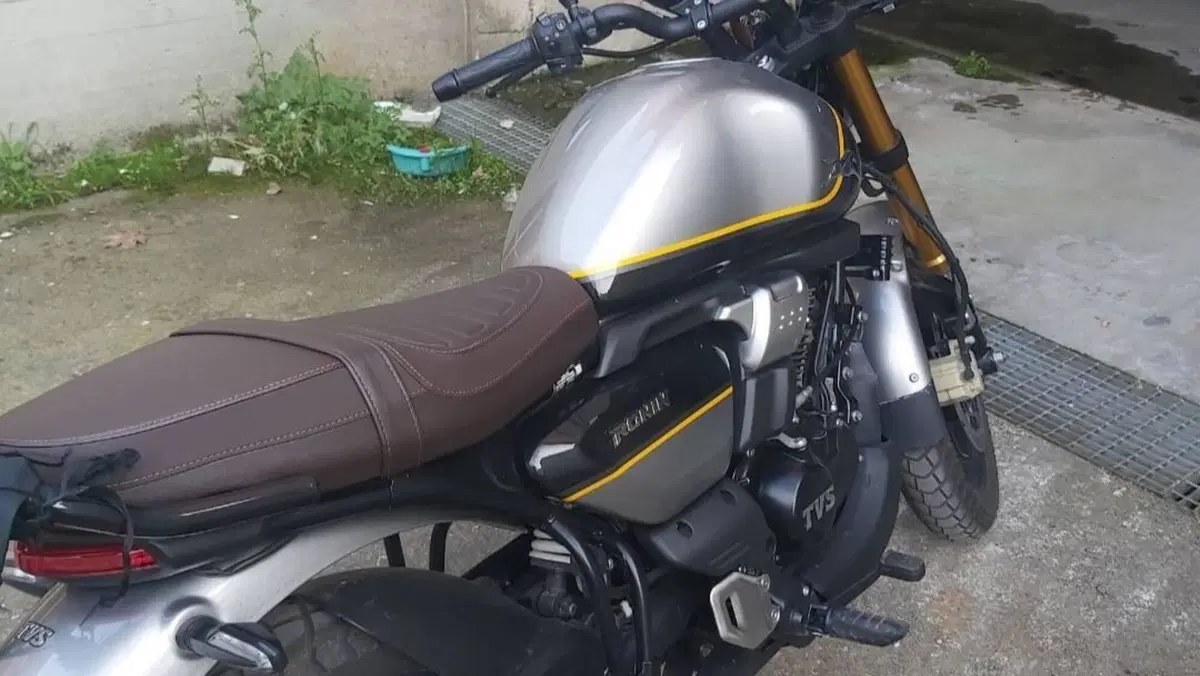 TVS Motor Ronin 250 (2024 - 26)  (2)