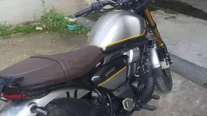 TVS Motor Ronin 250 (2024 - 26)  (2)