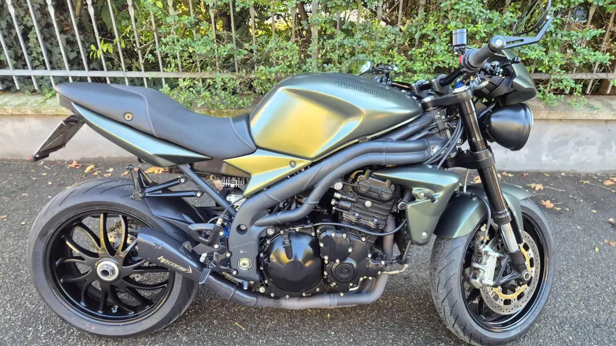 Triumph Speed Triple 1050 (2005 - 11) 