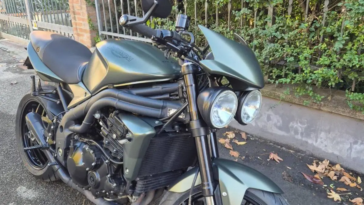 Triumph Speed Triple 1050 (2005 - 11)  (2)