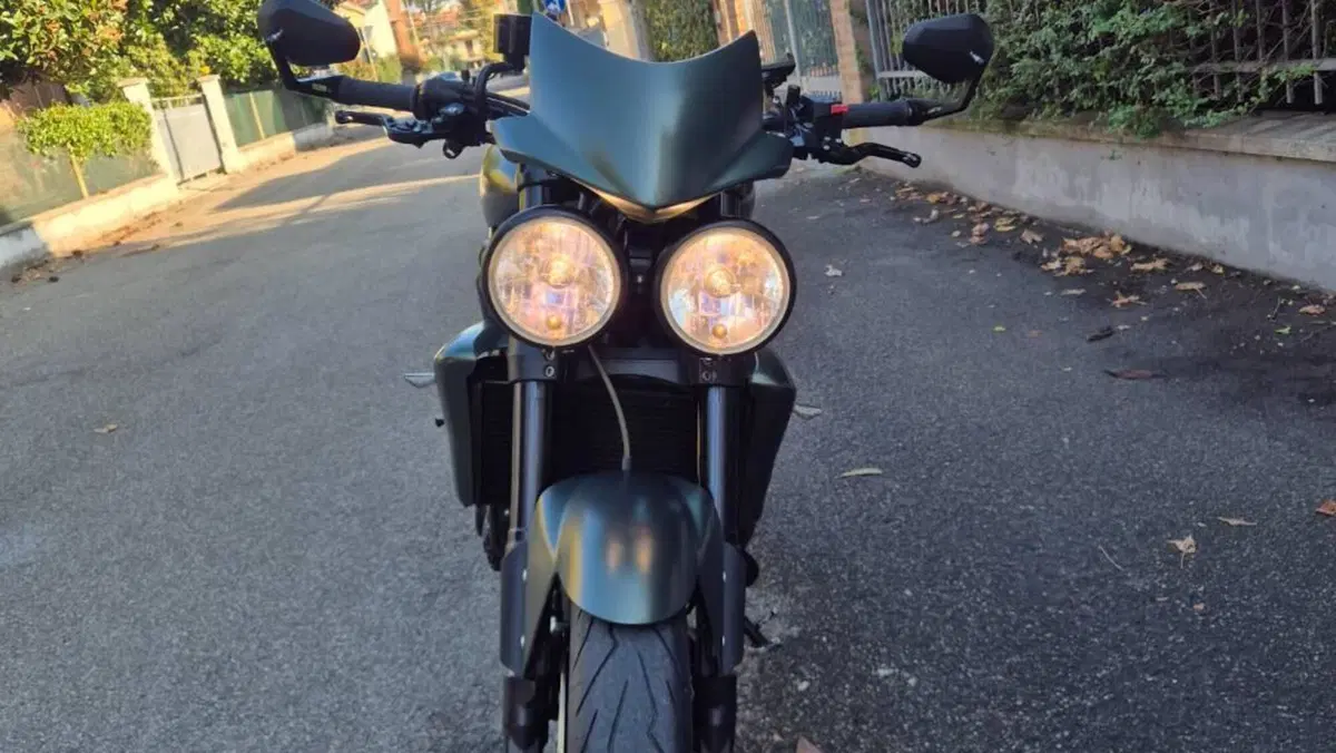 Triumph Speed Triple 1050 (2005 - 11)  (4)