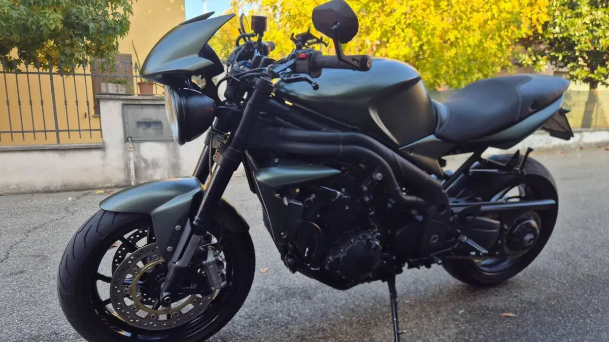 Triumph Speed Triple 1050 (2005 - 11)  (5)