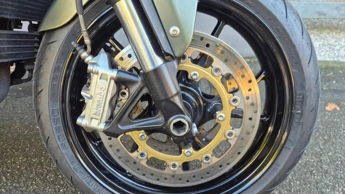 Triumph Speed Triple 1050 (2005 - 11)  (6)