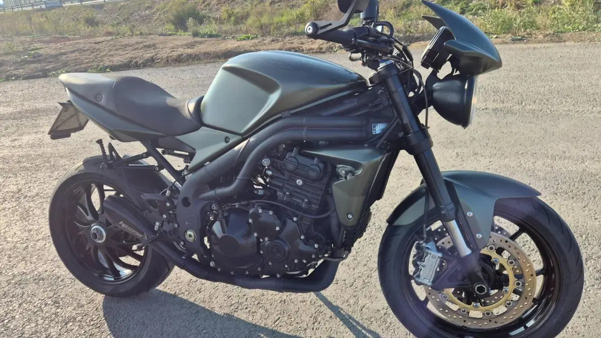 Triumph Speed Triple 1050 (2005 - 11)  (8)