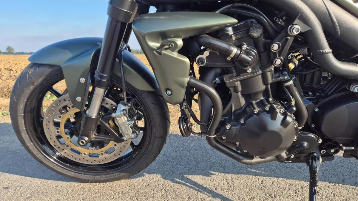 Triumph Speed Triple 1050 (2005 - 11)  (10)