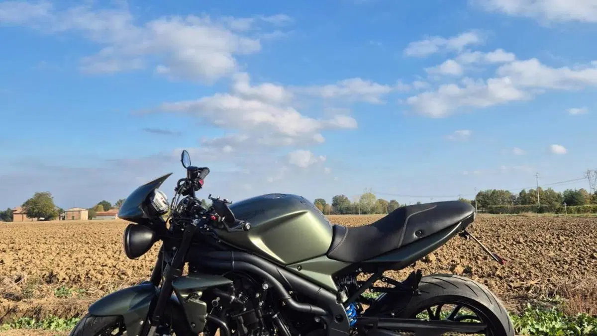Triumph Speed Triple 1050 (2005 - 11)  (12)