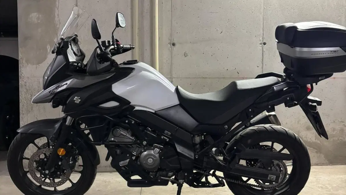 Suzuki V-Strom 650 ABS (2017 - 20)  (8)