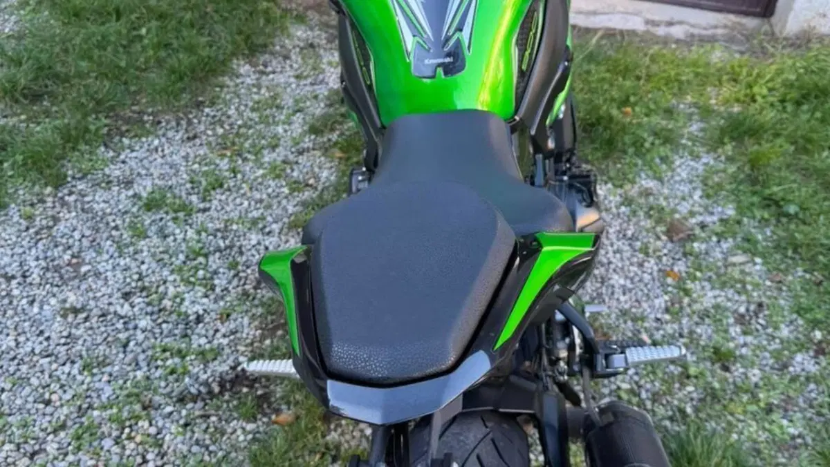 Kawasaki Z 900 (2021 - 24)  (2)