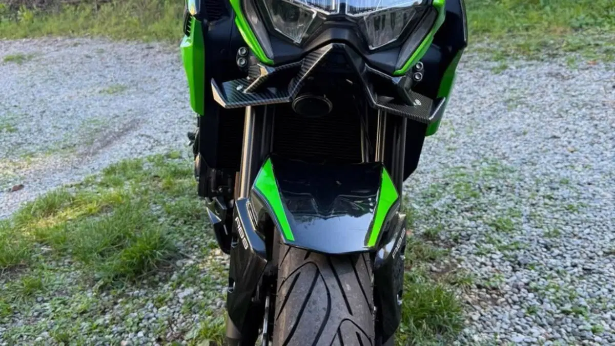Kawasaki Z 900 (2021 - 24)  (3)