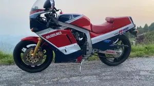 Suzuki   (2)