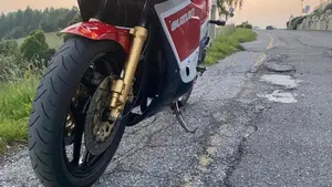 Suzuki   (10)