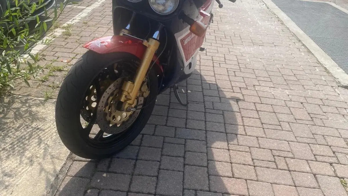 Suzuki   (11)