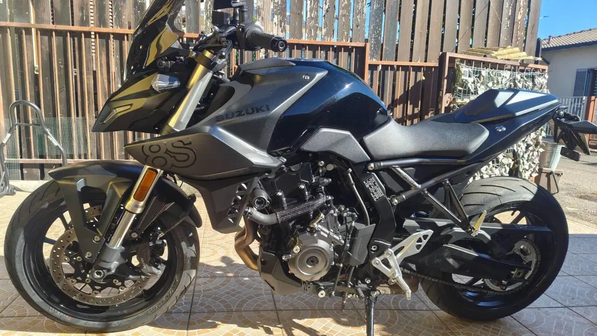 Suzuki GSX-8S (2023 - 24) 