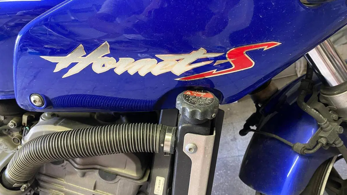 Honda Hornet 600 S (1999 - 01)  (4)