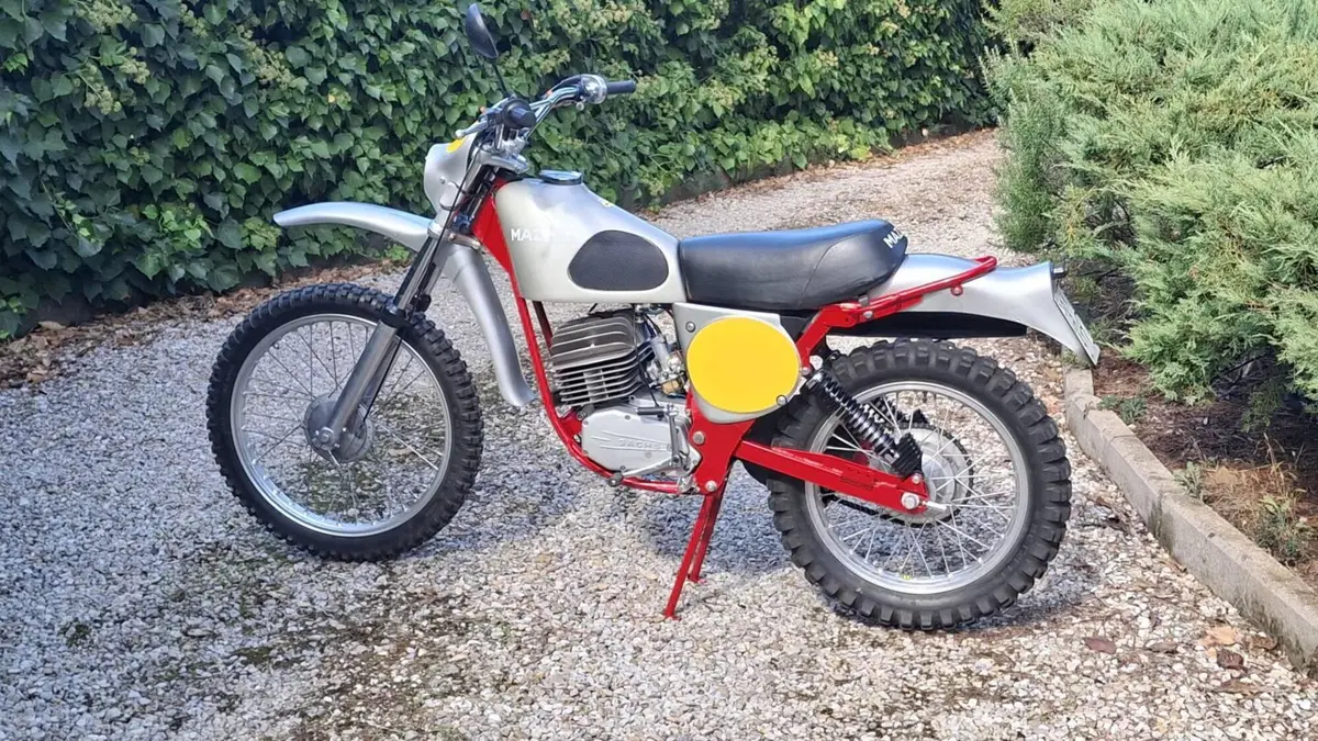Mazzilli   (2)