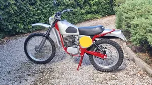 Mazzilli   (2)