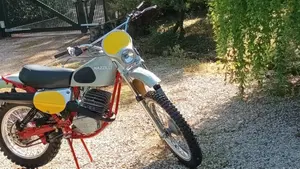 Mazzilli   (4)