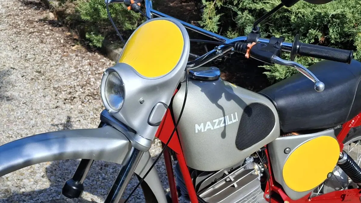 Mazzilli   (7)