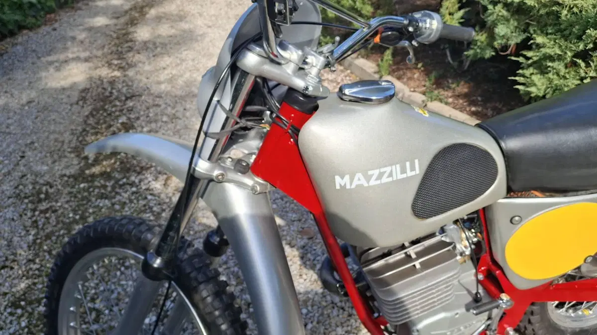 Mazzilli   (8)
