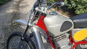 Mazzilli   (8)
