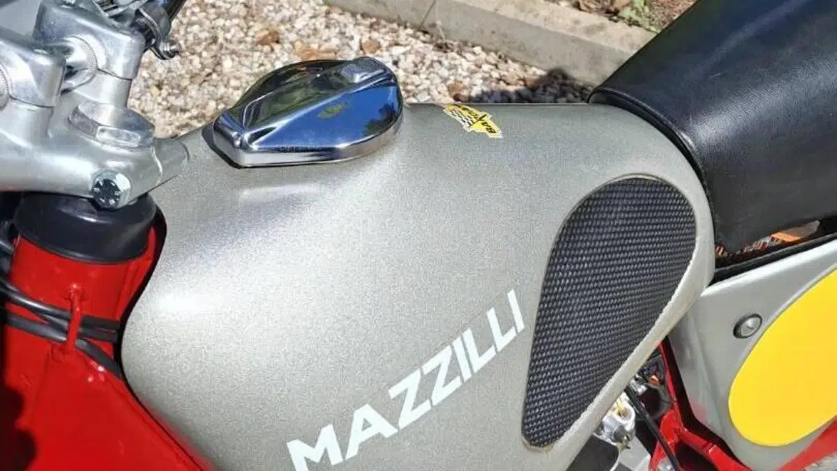 Mazzilli   (9)