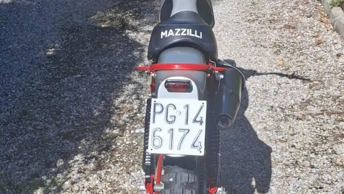 Mazzilli   (11)