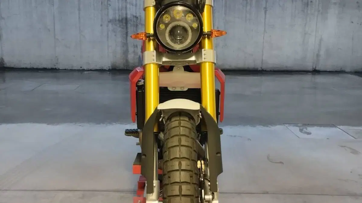 Fantic Motor Caballero 500 Scrambler (2021 - 23)  (4)