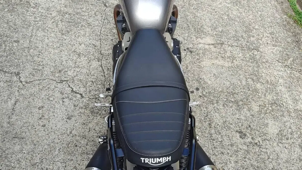 Triumph Speed Twin 1200 (2021 - 24)  (3)