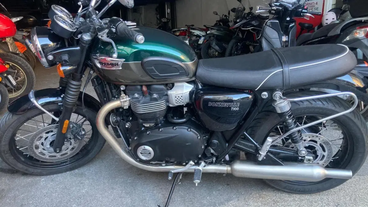 Triumph Bonneville T100 (2021 - 25)  (3)