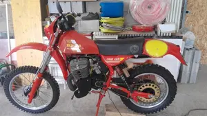 Betamotor   (3)