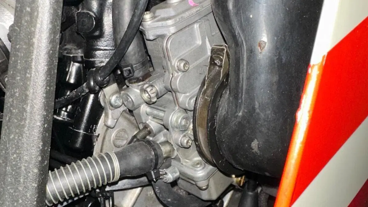 Suzuki   (6)