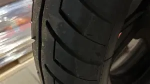 Suzuki   (8)