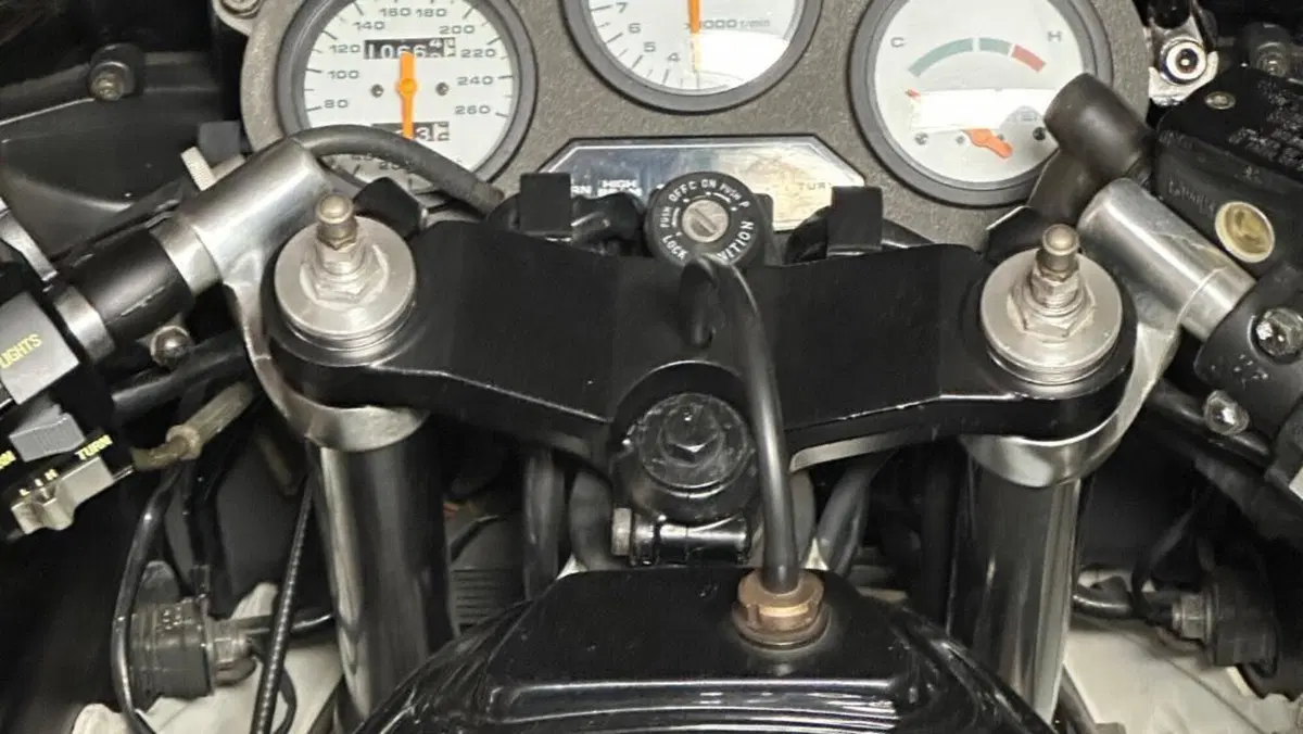 Suzuki   (17)