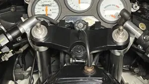 Suzuki   (17)