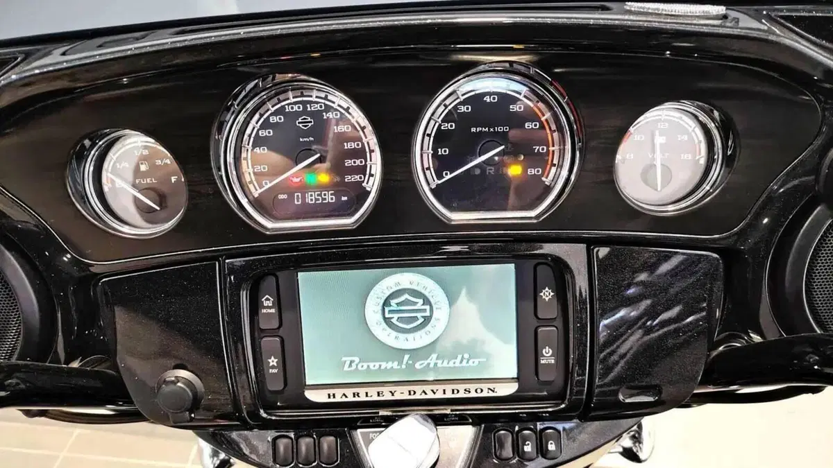 Harley-Davidson 114 Street Glide (2017)  (6)