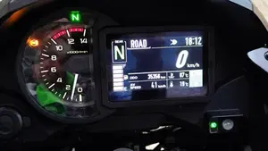 Kawasaki Versys 1000 Grand Tourer SE (2019 - 20)  (2)