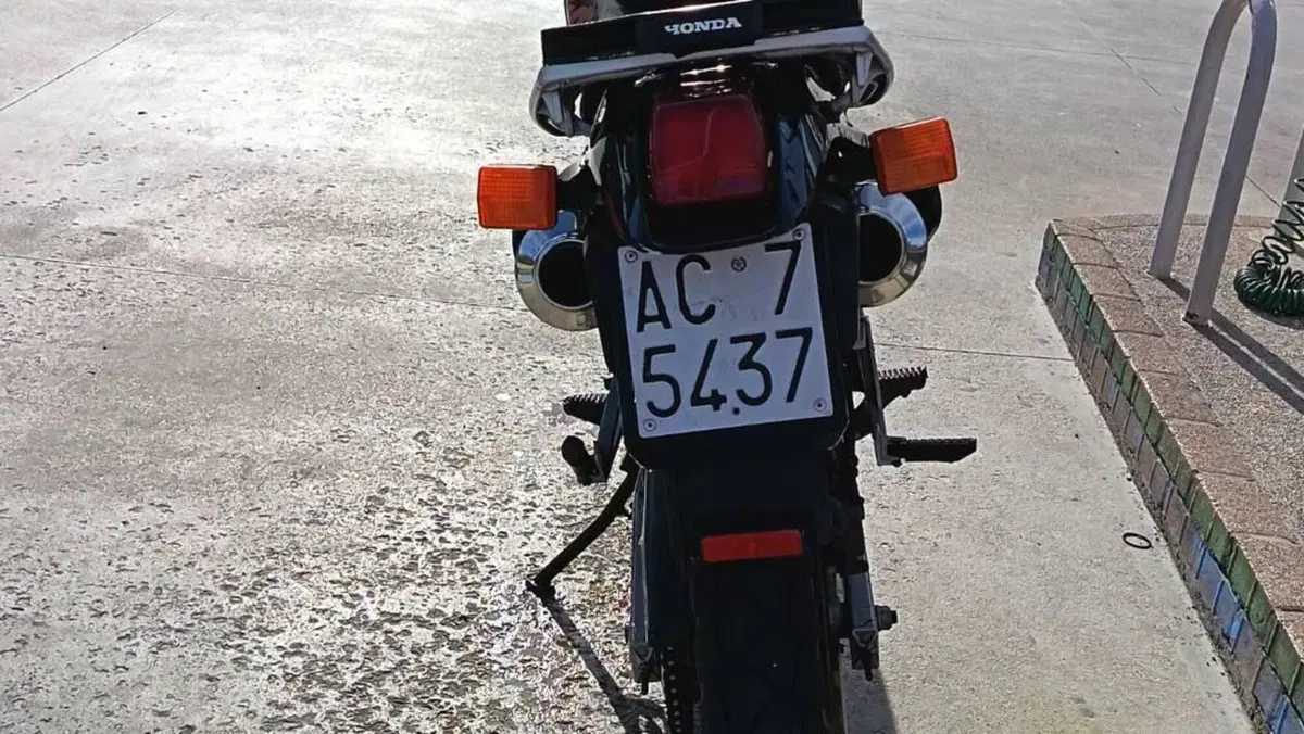 Honda   (10)