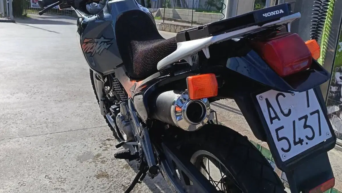 Honda   (11)