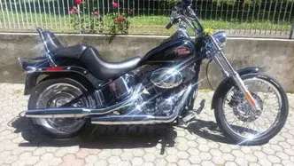 Harley-Davidson 1584 Custom (2007) - FXSTC