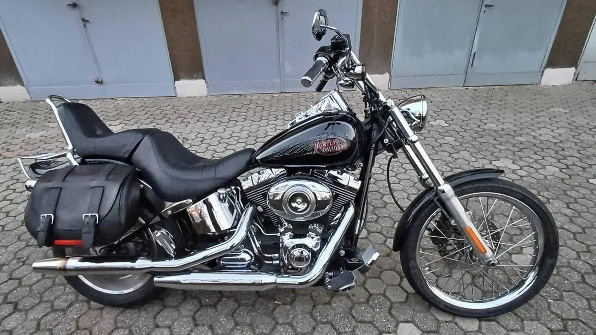 Harley-Davidson 1584 Custom (2007) - FXSTC  (2)